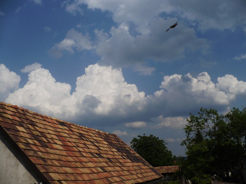 Zivatarok