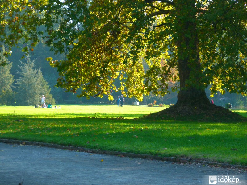 In the park