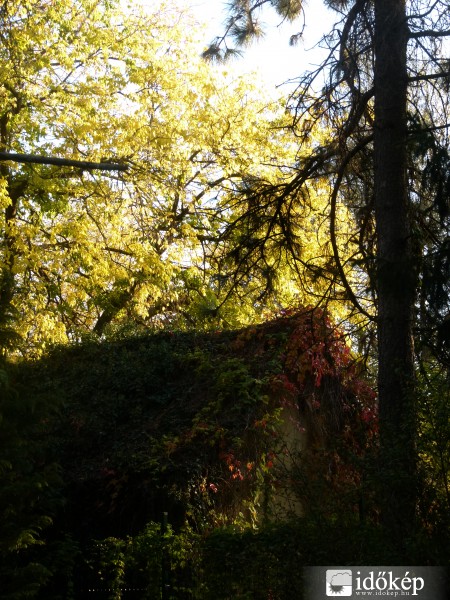 House in the forest