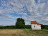 Palkonya