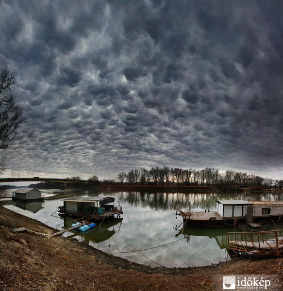 Altocumulus stratiformis opacus mamma