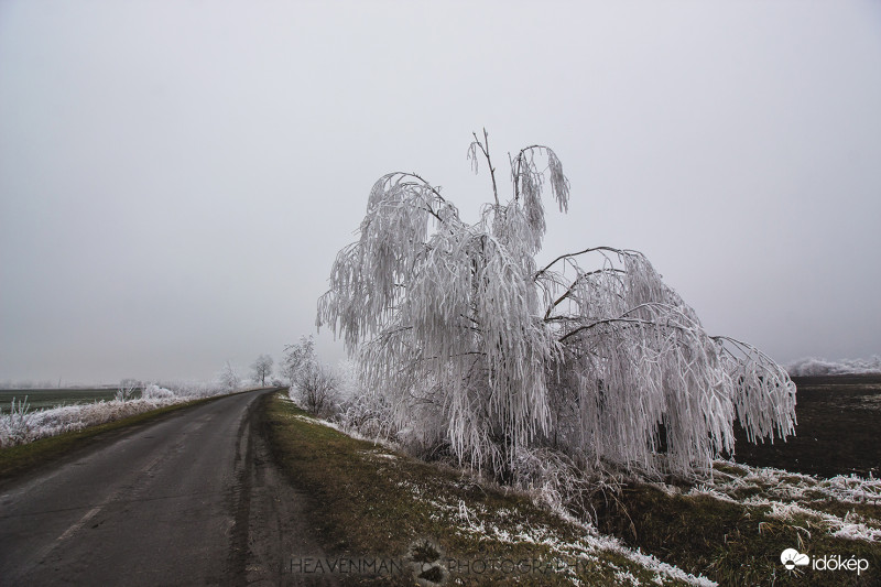 Januári zúzmara 3.
