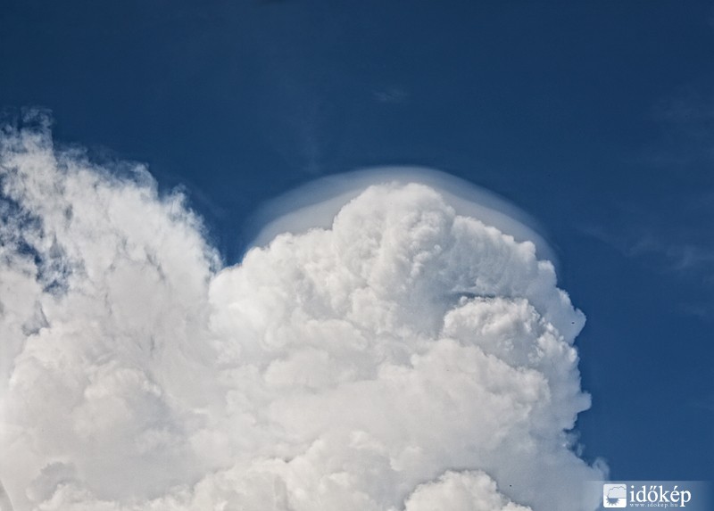 Cumulus congestus pileus