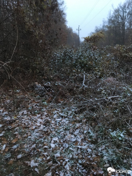 Észlelési fényképek