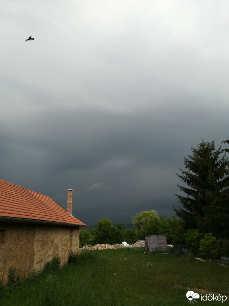 Észlelési fényképek