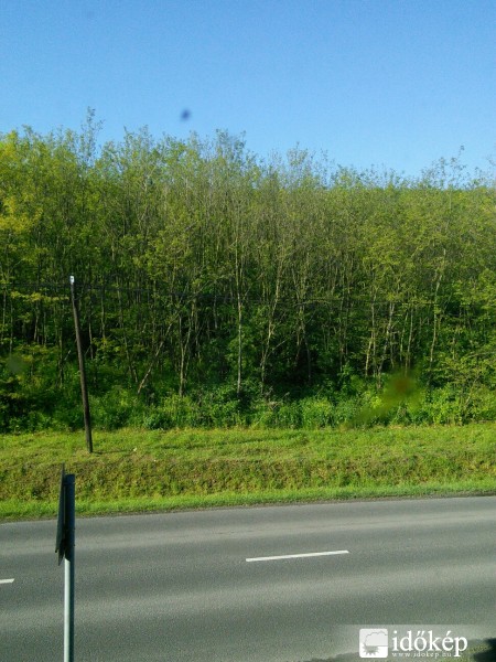 Észlelési fényképek