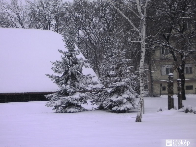 A parkban Inotán 2010.01.06.