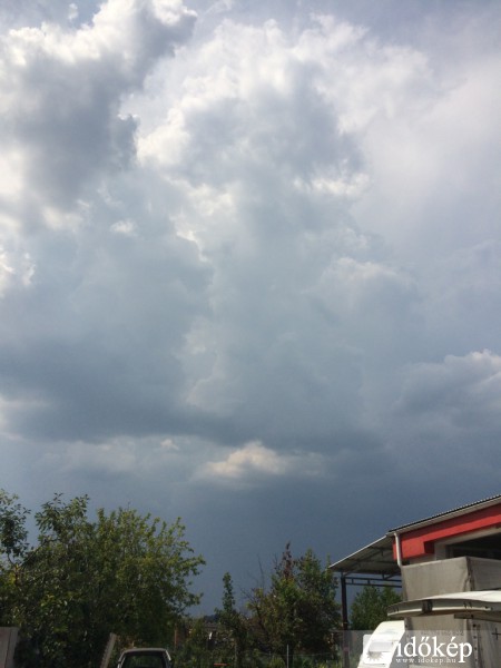 Észlelési fényképek