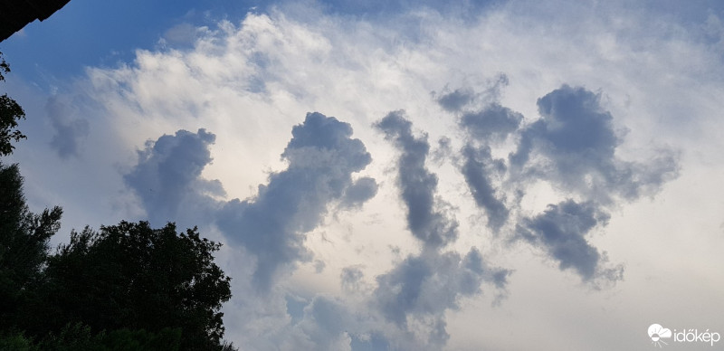 Észlelési fényképek