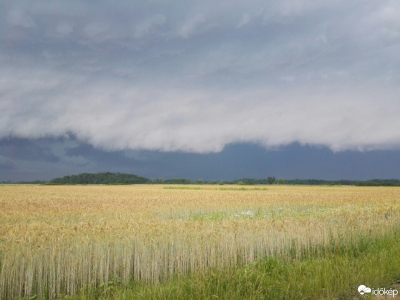 Észlelési fényképek