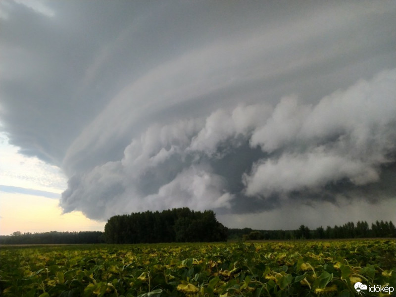 Észlelési fényképek