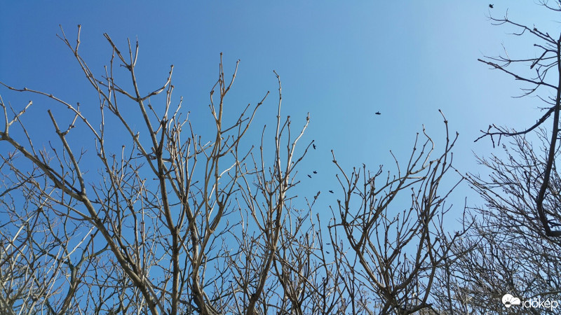 Budapest XXII.ker - Budatétény