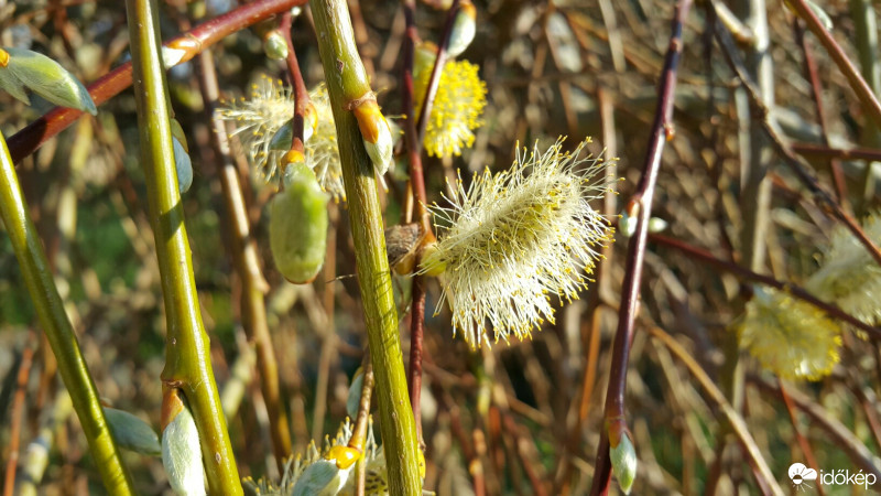 Budapest XXII.ker - Budatétény