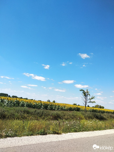 Észlelési fényképek