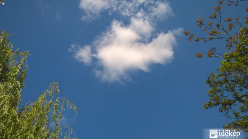 Észlelési fényképek