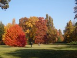 Szarvasi Arborétum