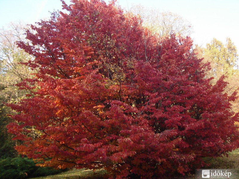 Szarvasi Arborétum