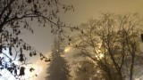 Éjjeli köd