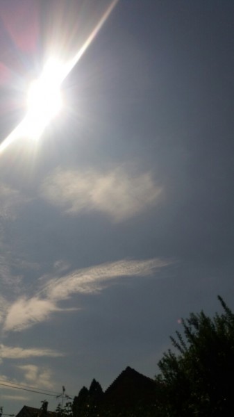 Észlelési fényképek