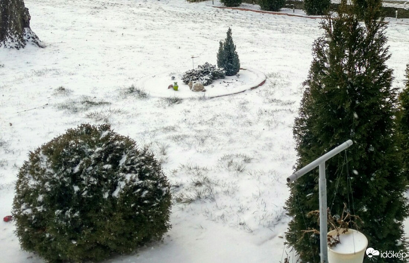 Észlelési fényképek