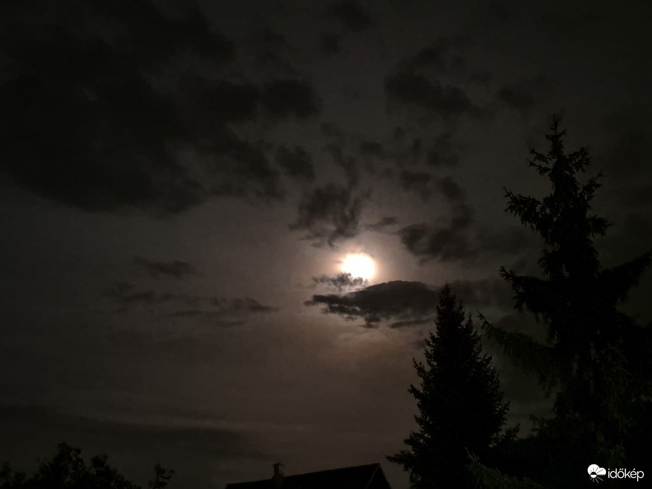Nyírszőlős