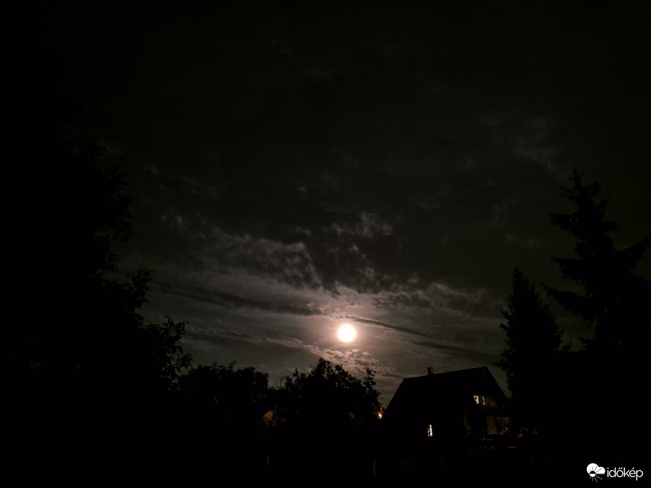 Nyírszőlős