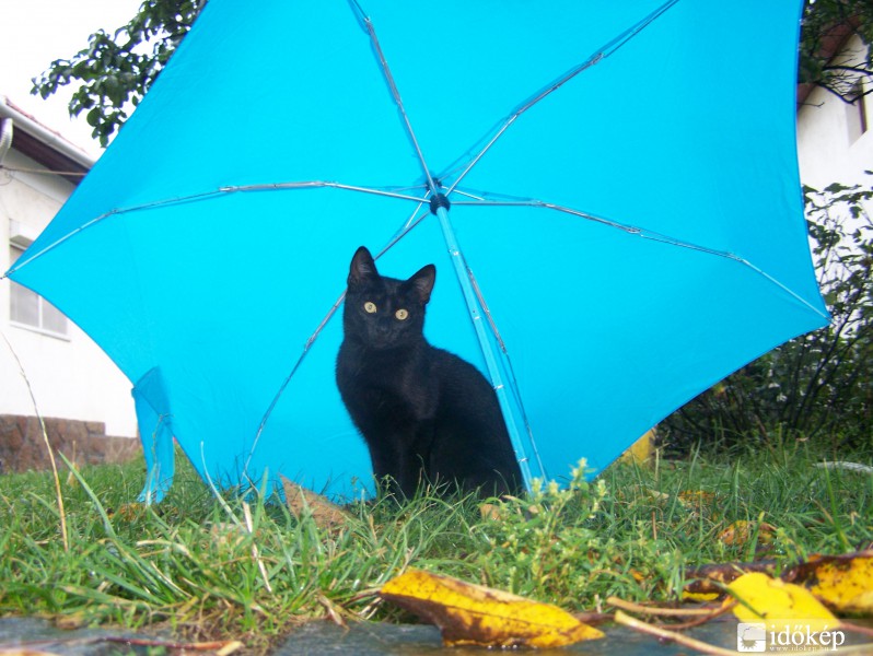 Itt csak nem ázok meg...