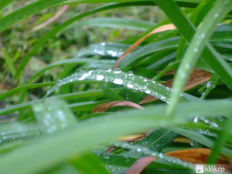 Ez feldobta a szürkeséget