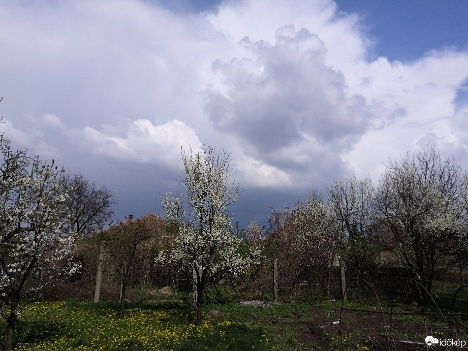 Észlelési fényképek