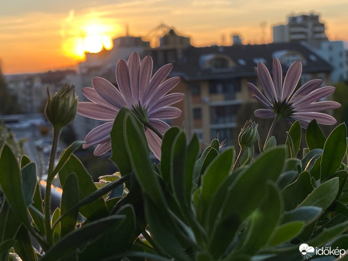 Budapest XIV.ker - Alsórákos