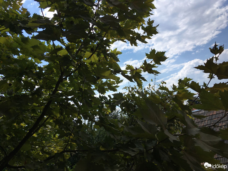 Észlelési fényképek