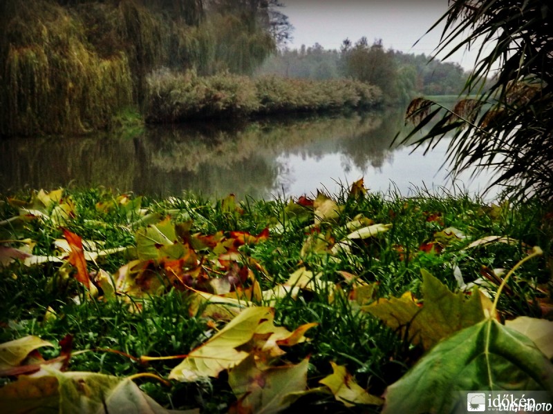 ...őszi délután