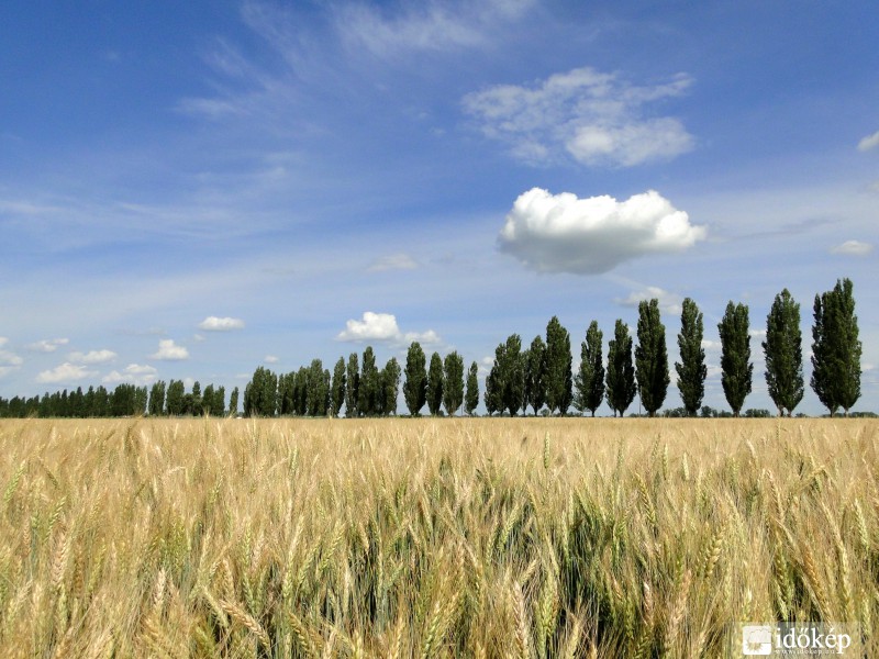 Kalocsa, Meszesi út