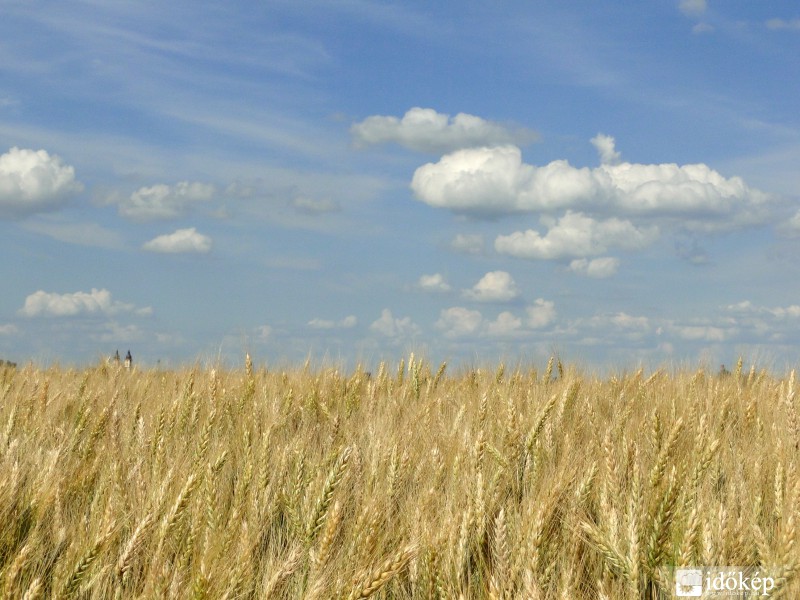 Kalocsa, Meszesi út