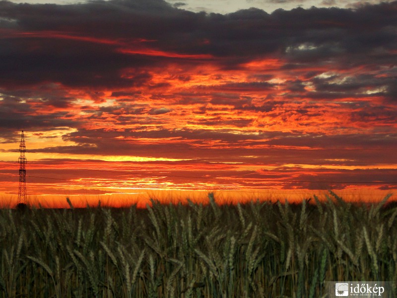 Bátya, 2015.06.28. 20:45