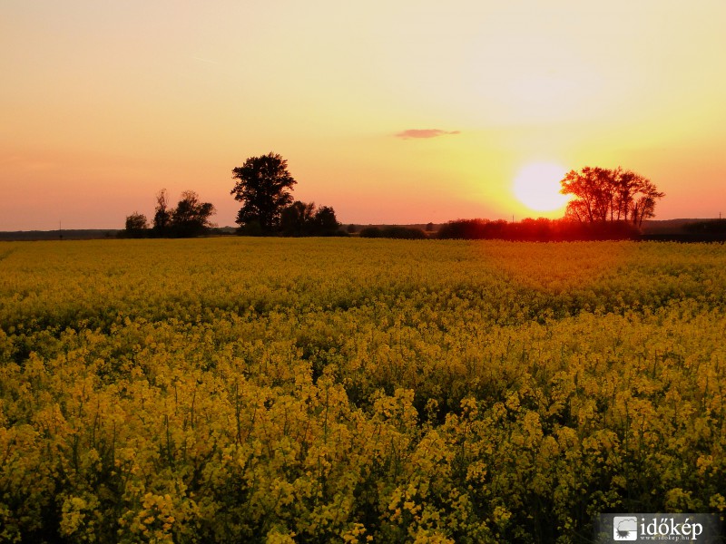 Repcés napnyugta