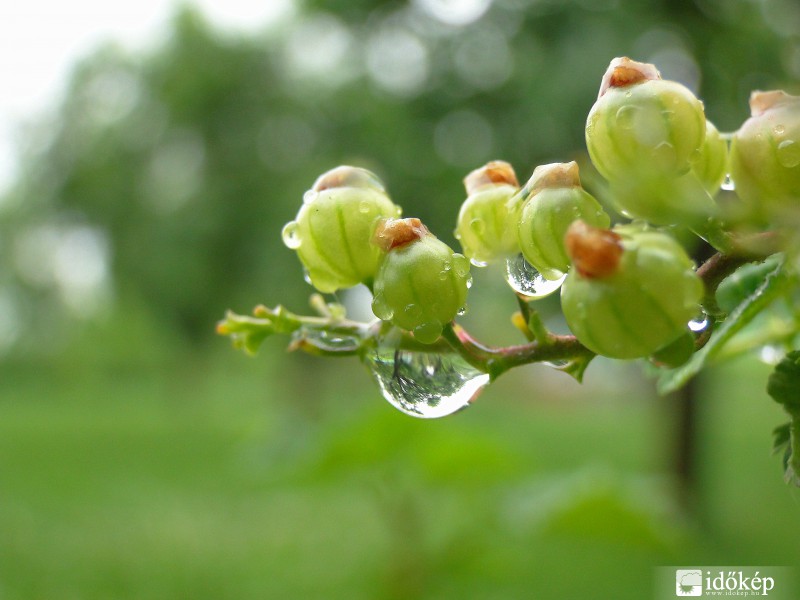 Csak esik, és esik! 