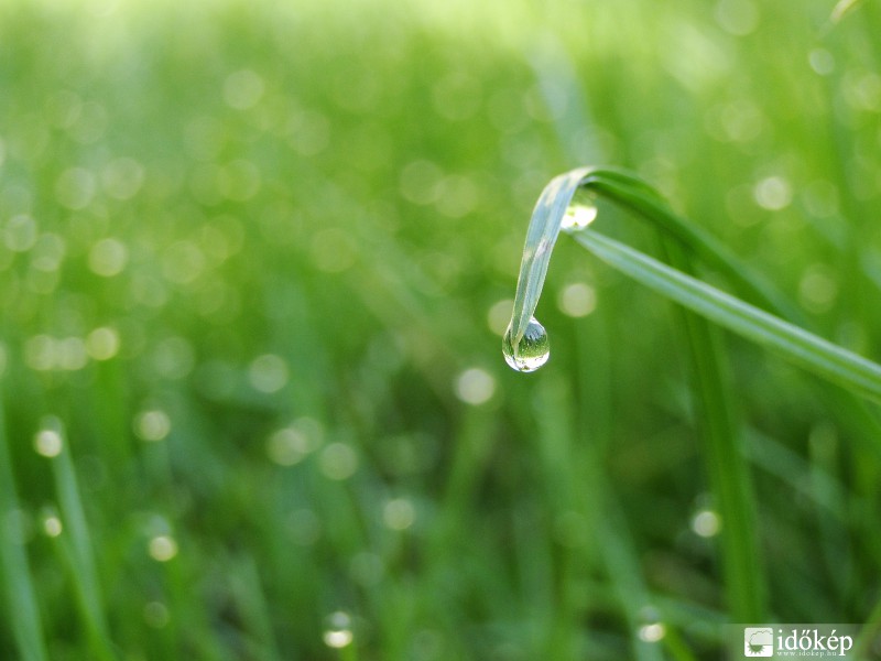 Harmatos jó reggelt!