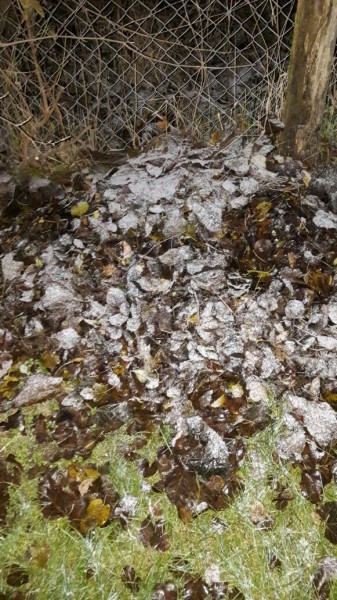 Észlelési fényképek