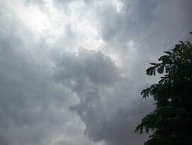 Gyula