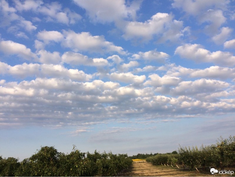 Észlelési fényképek