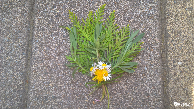 Budapest VIII.ker - Józsefváros