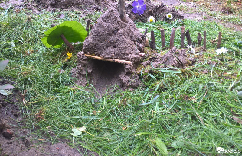 Budapest VIII.ker - Józsefváros