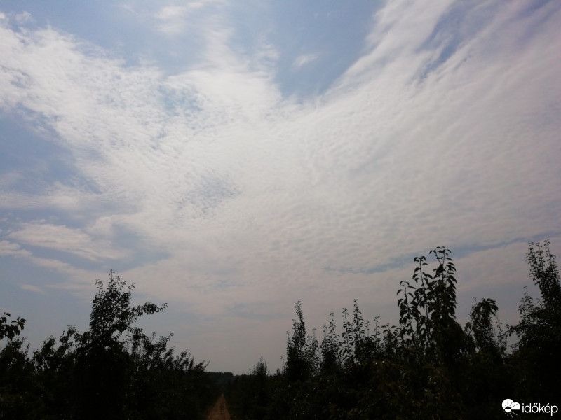 Észlelési fényképek