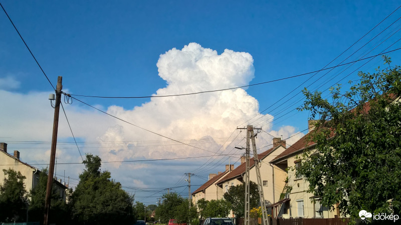 Észlelési fényképek