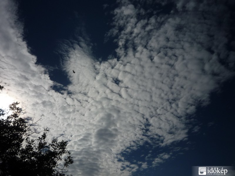 Ahová csak a sas ér fel