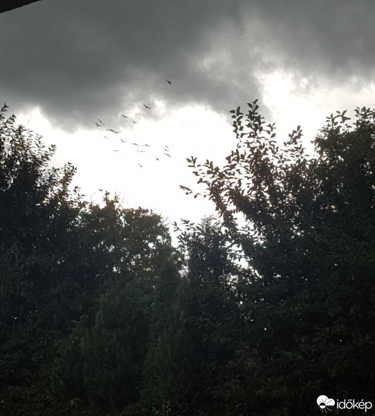 Észlelési fényképek