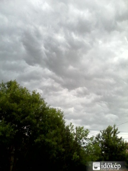 Észlelési fényképek