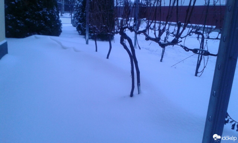 Észlelési fényképek