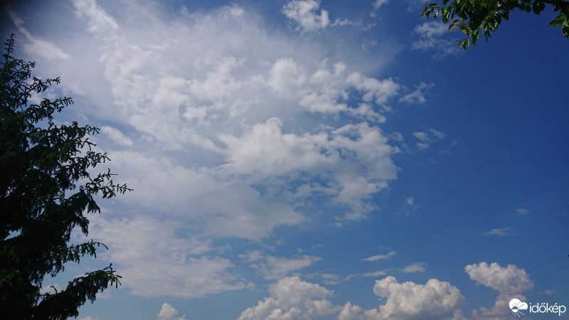 Észlelési fényképek